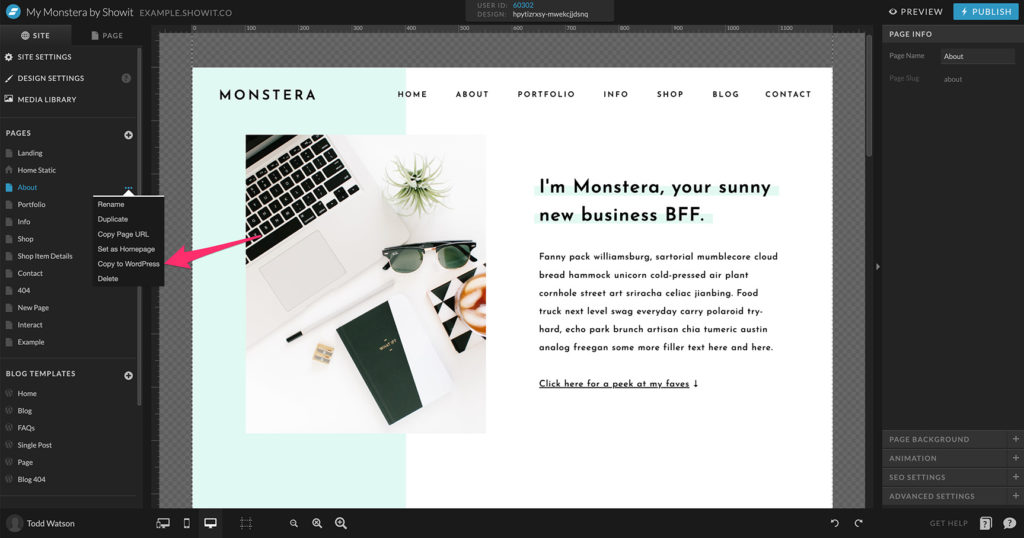 Showit app copying static page to WordPress blog template