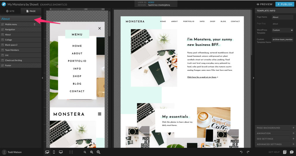 Top layer panel above all canvases on Showit