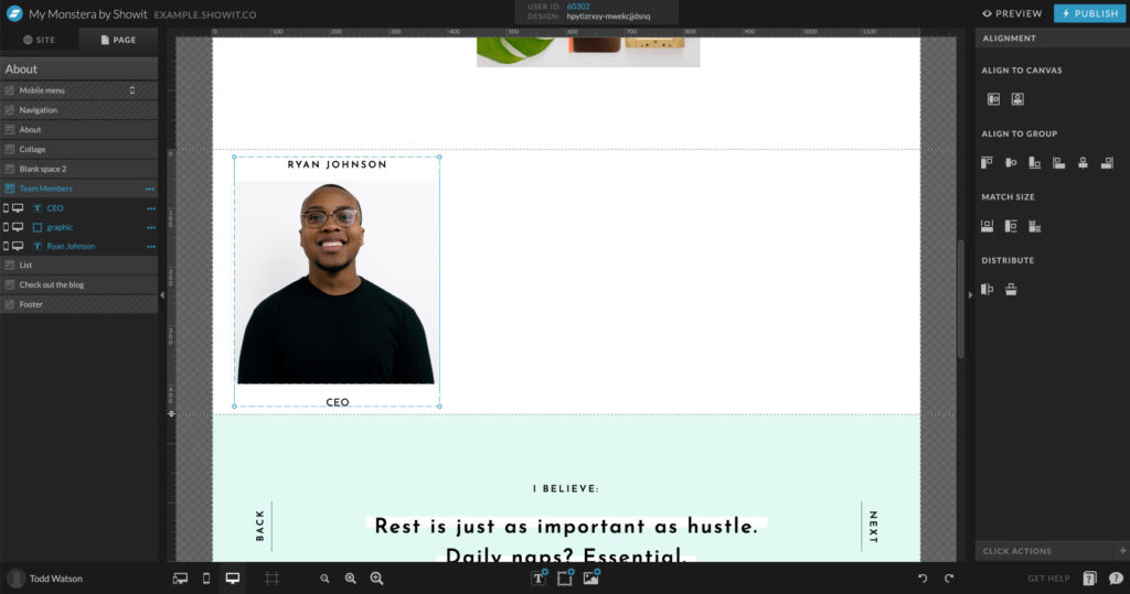 adding placeholders to Showit canvases for WordPress