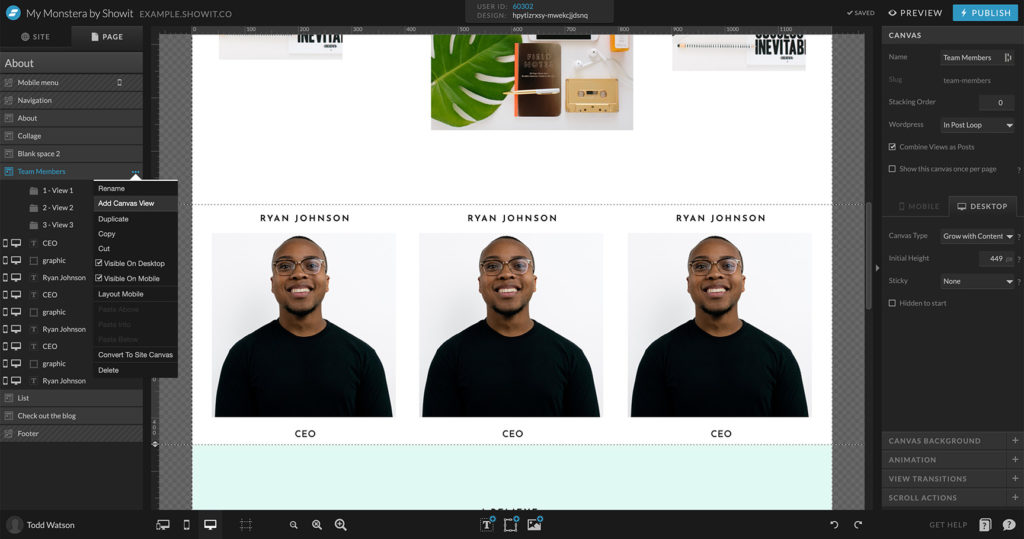 Adding canvas views for wordpress custom post types with Showit