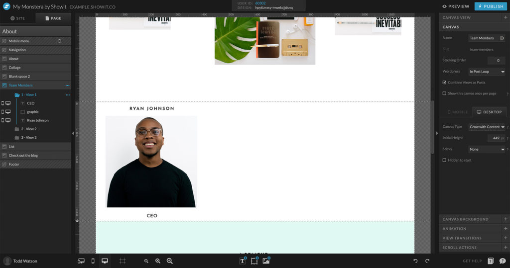 WordPress Custom Post Type final look on Showit