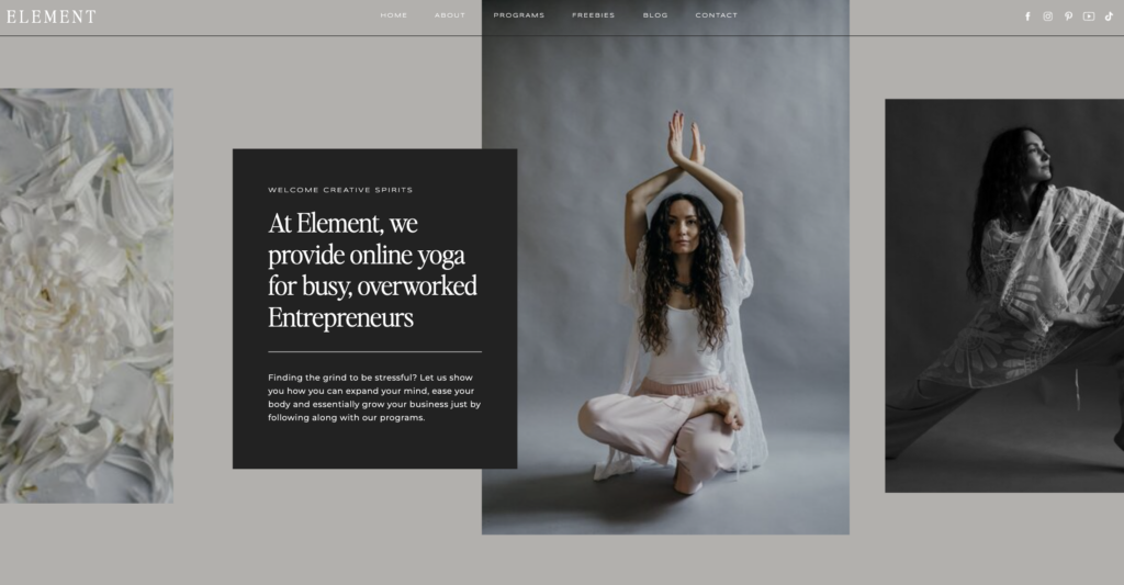 Health and Wellness Website Templates Element