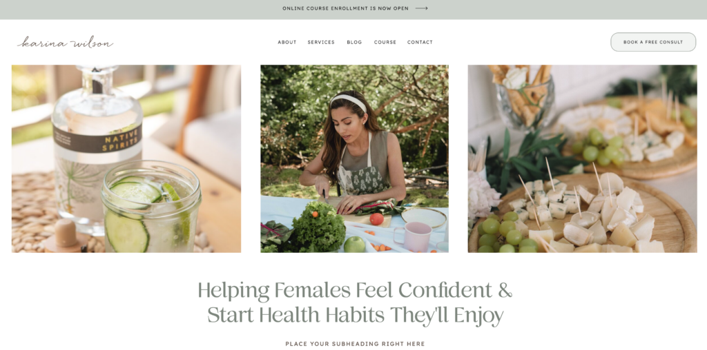 Health and Wellness Website Templates Karina